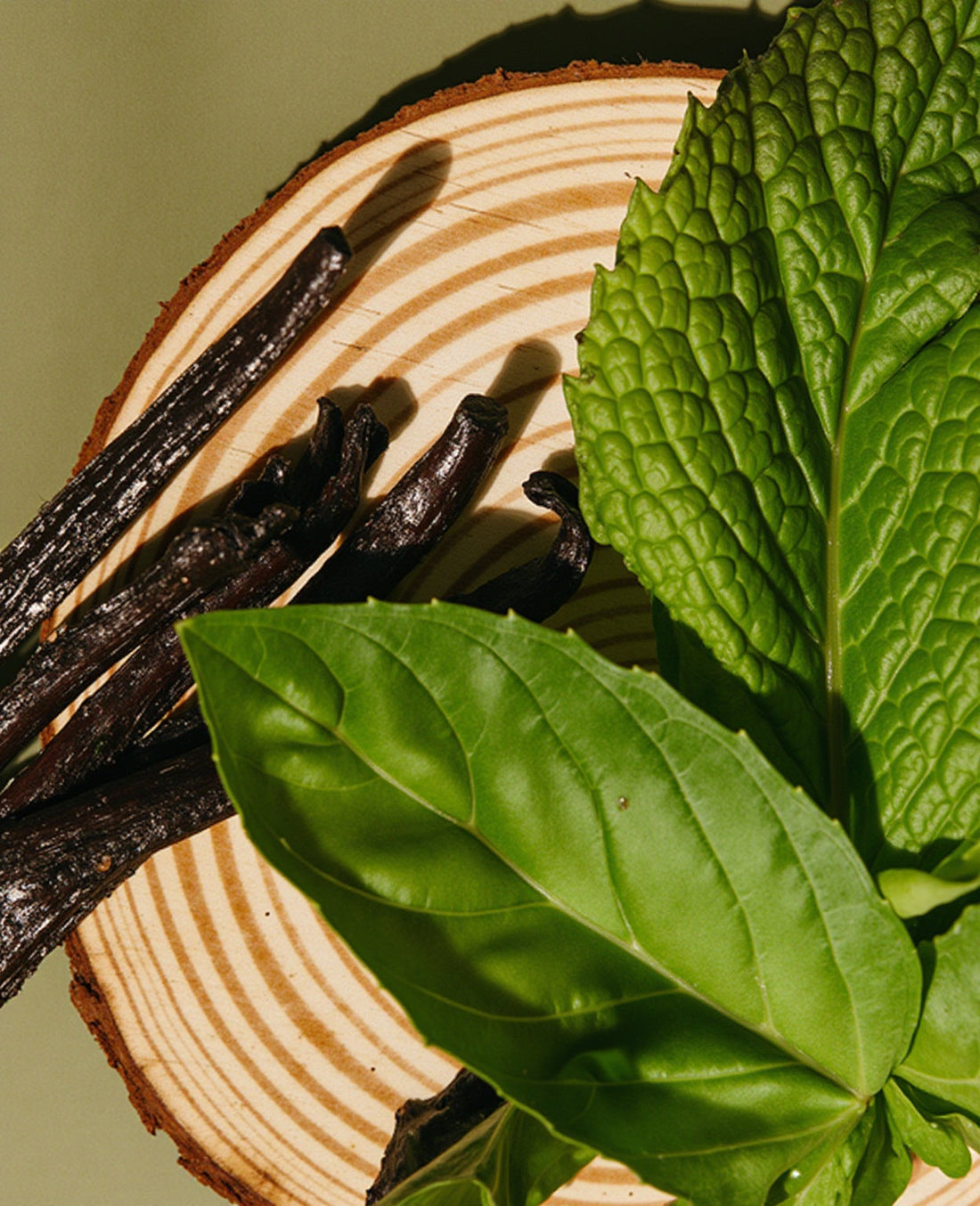 Cypress Embrace Minted Grove Fragrance Oil