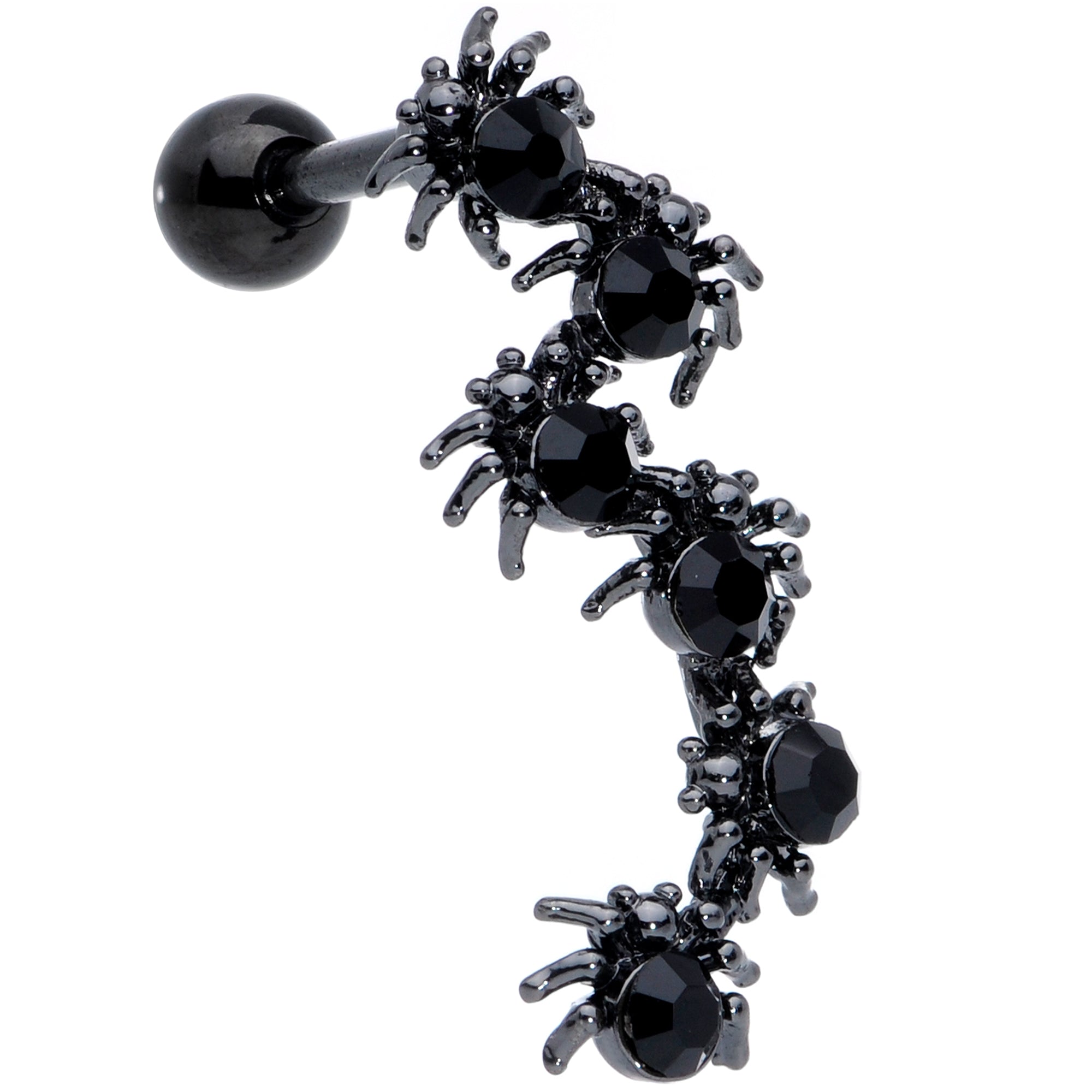 Better watch out the Black Spiders are out for Halloween