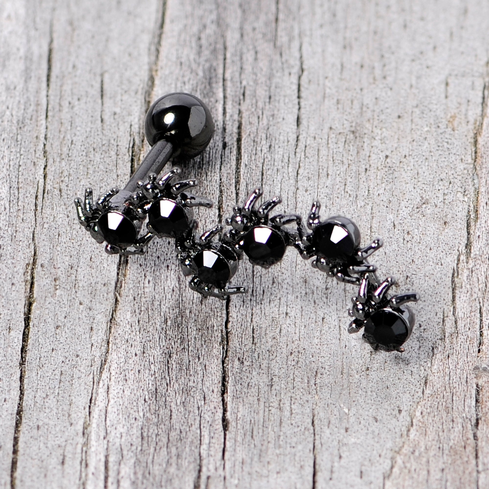 Better watch out the Black Spiders are out for Halloween