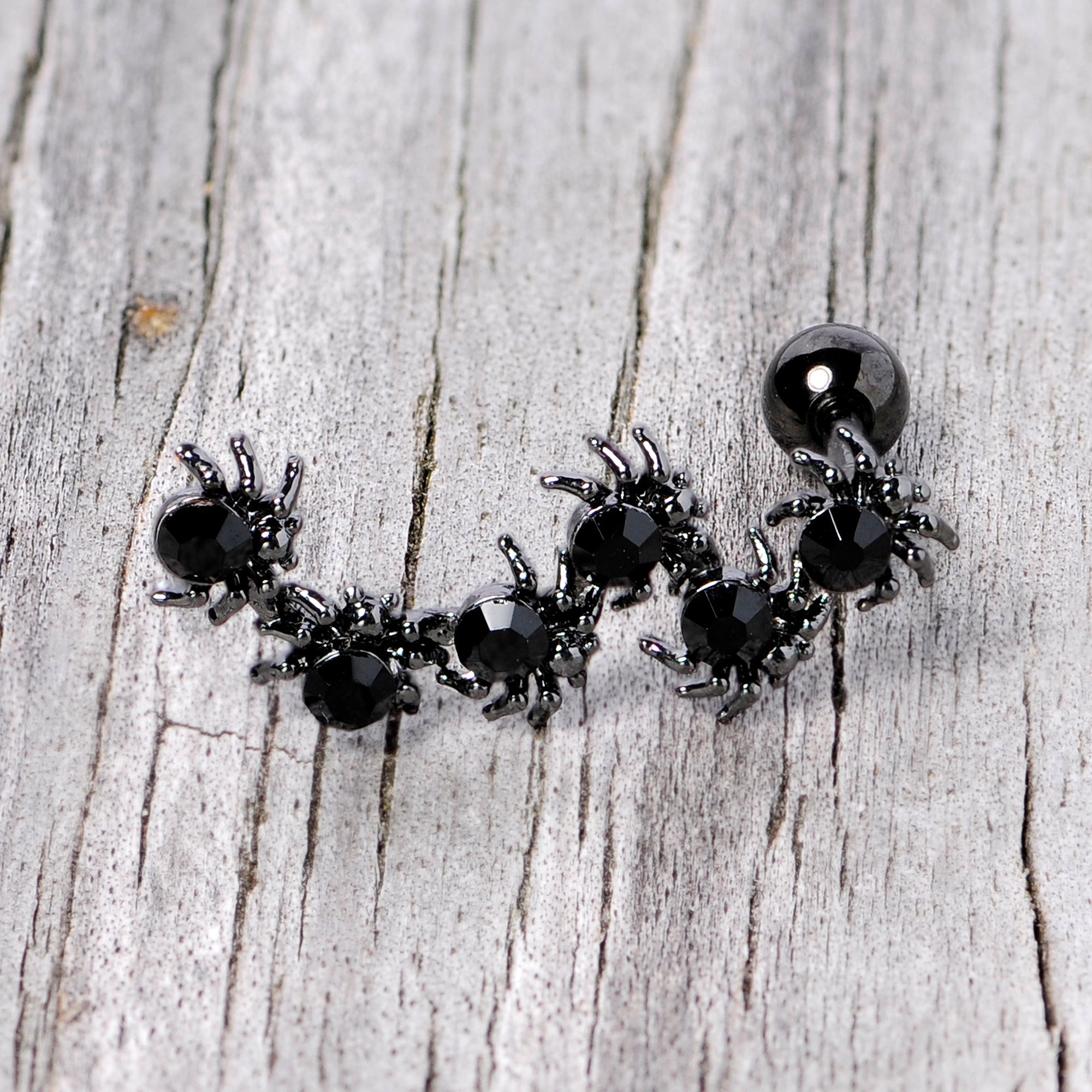 Better watch out the Black Spiders are out for Halloween