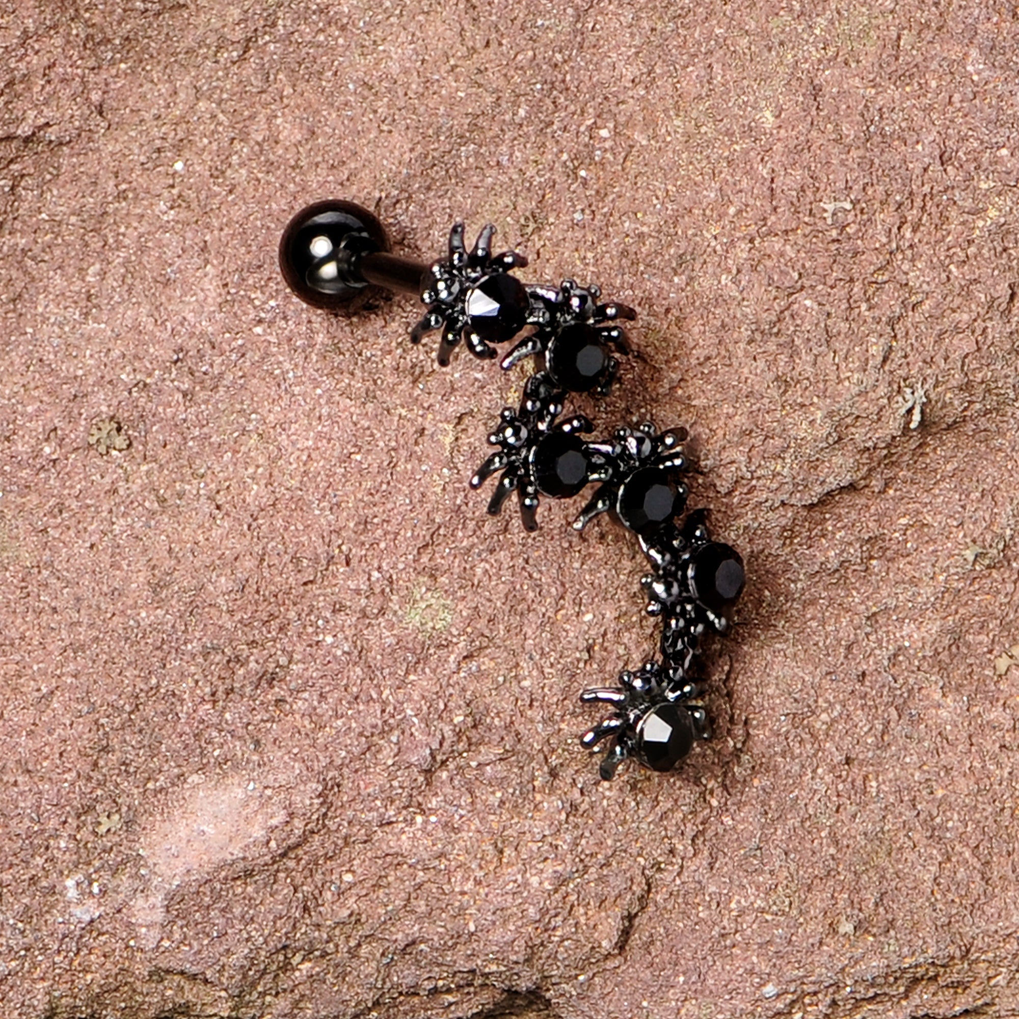Better watch out the Black Spiders are out for Halloween