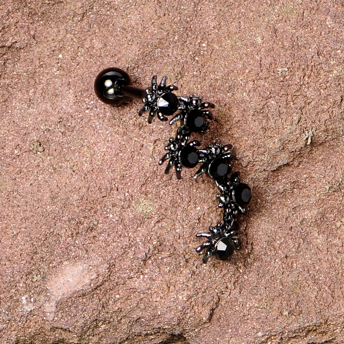 Better watch out the Black Spiders are out for Halloween