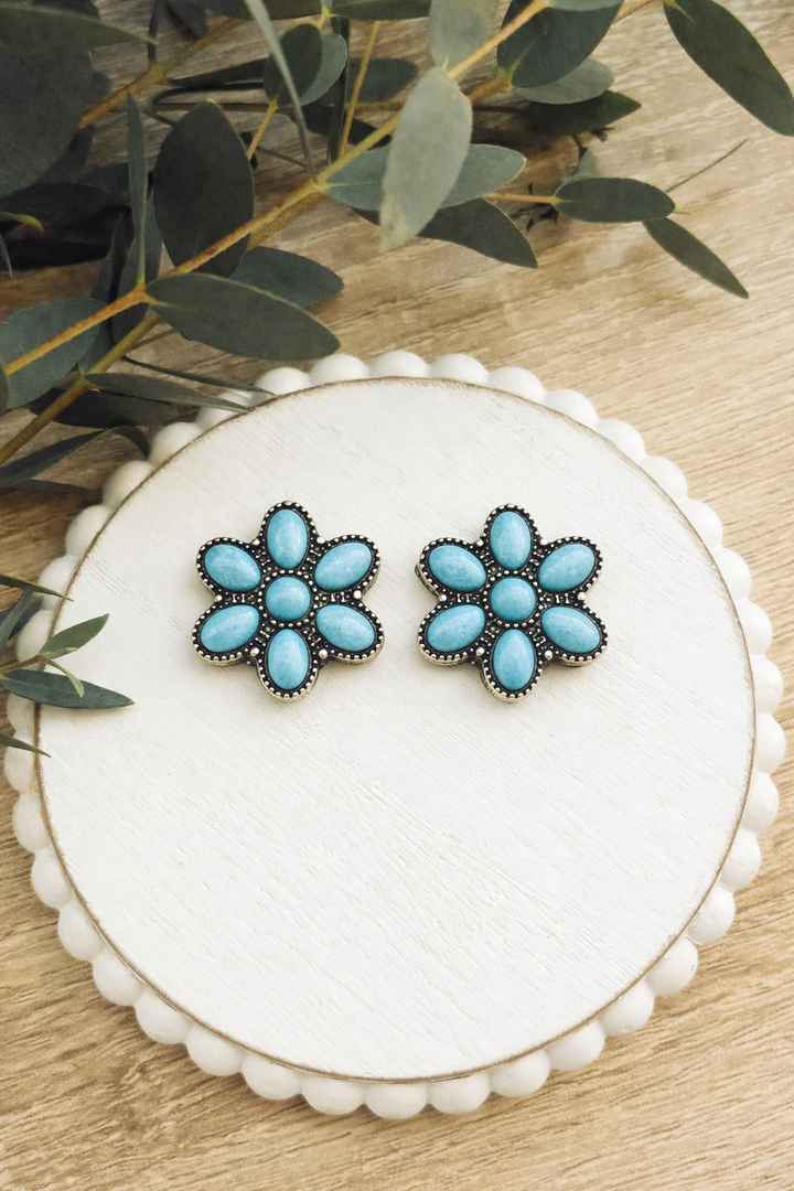 Beautiful Turquoise Stud Earrings