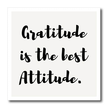 3dRose Gratitude is The Best Attitude - Iron on Heat Transfers (ht-371963)