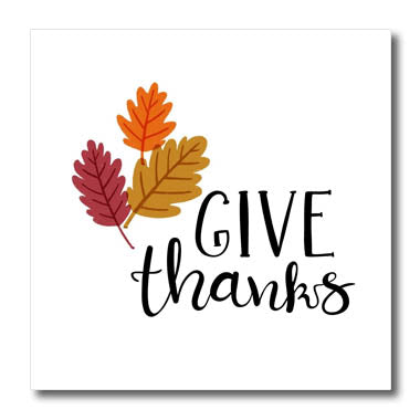 3dRose It is Fall Give Thanks - Iron on Heat Transfers (ht-372021)