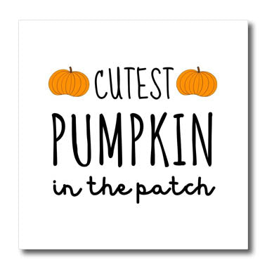 3dRose Cutest Pumpkin in The Patch Design - Iron on Heat Transfers (ht-372166)