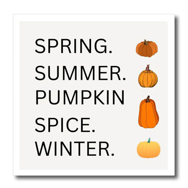 3dRose Spring. Summer. Pumpkin. Spice. Winter. - Iron on Heat Transfers (ht-372254)