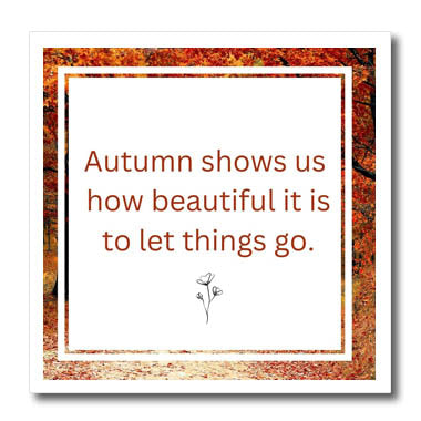 3dRose Autumn Shows us How Beautiful it is to let Things go - Iron on Heat Transfers (ht-372263)