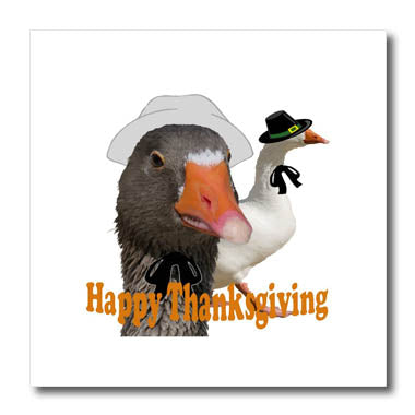3dRose Fun Happy Thanksgiving Pilgrim Duck Couple in Costume - Iron on Heat Transfers (ht-384671)