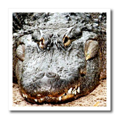 DIY Realistic Crocodile Iron-On Patch for T-Shirts, Jackets & More | Heat Transfer Jungle Animal Decal
