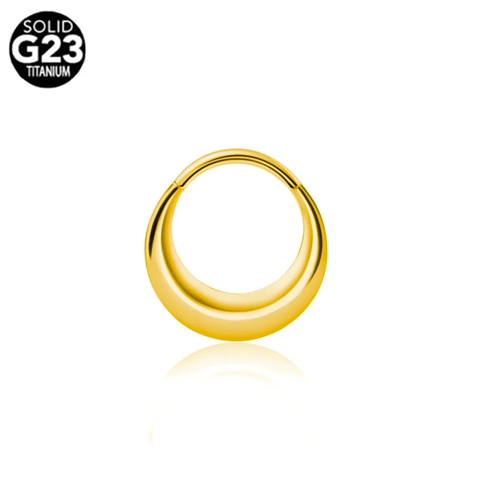 G23 Titanium Bee Septum Nose Ring Piercing Body Jewelry 16G Moon Segment Snake Clicker Helix  Ear Cartilage Heart Daith Hoop