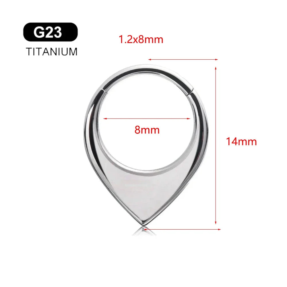 G23 Titanium Bee Septum Nose Ring Piercing Body Jewelry 16G Moon Segment Snake Clicker Helix  Ear Cartilage Heart Daith Hoop