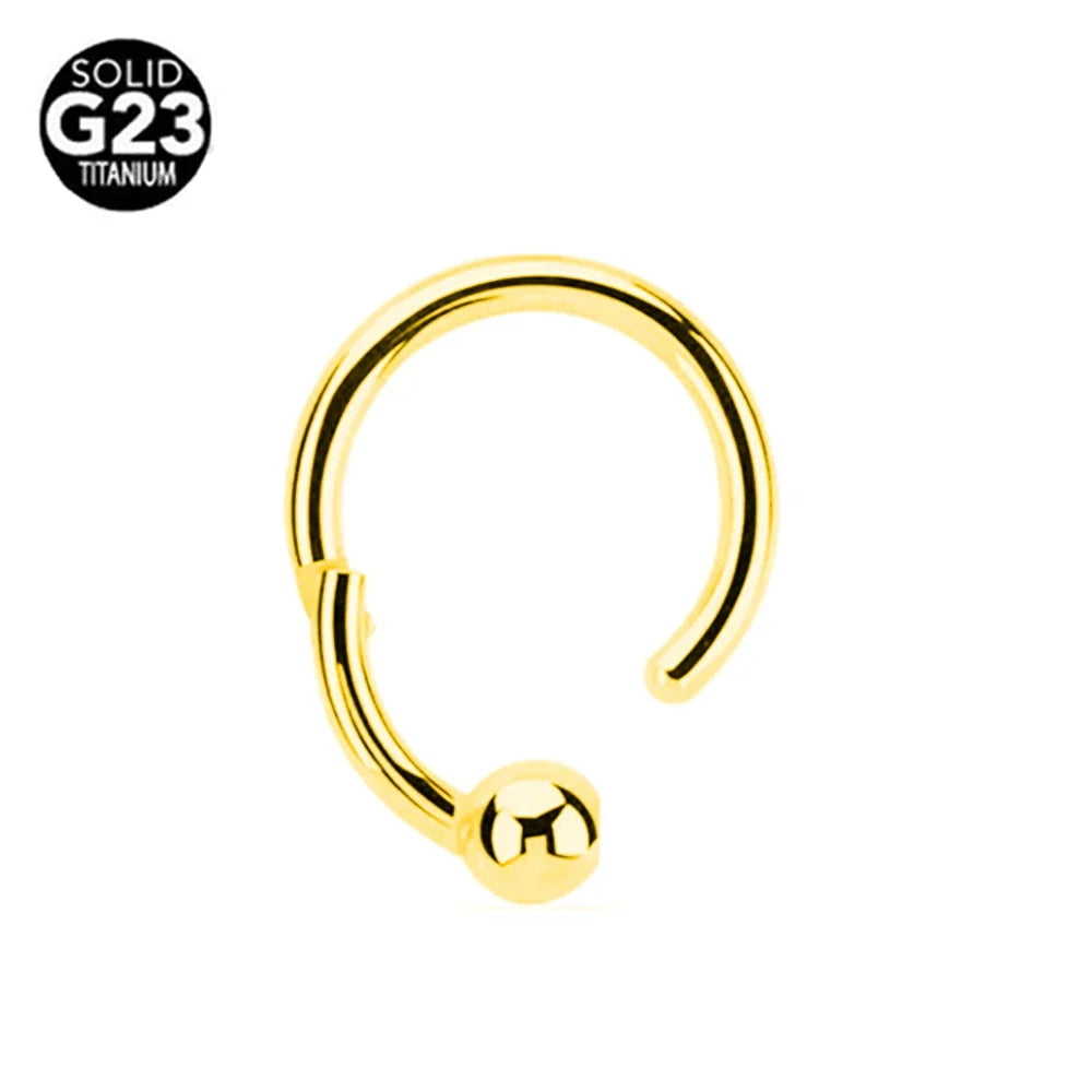 G23 Titanium Bee Septum Nose Ring Piercing Body Jewelry 16G Moon Segment Snake Clicker Helix  Ear Cartilage Heart Daith Hoop