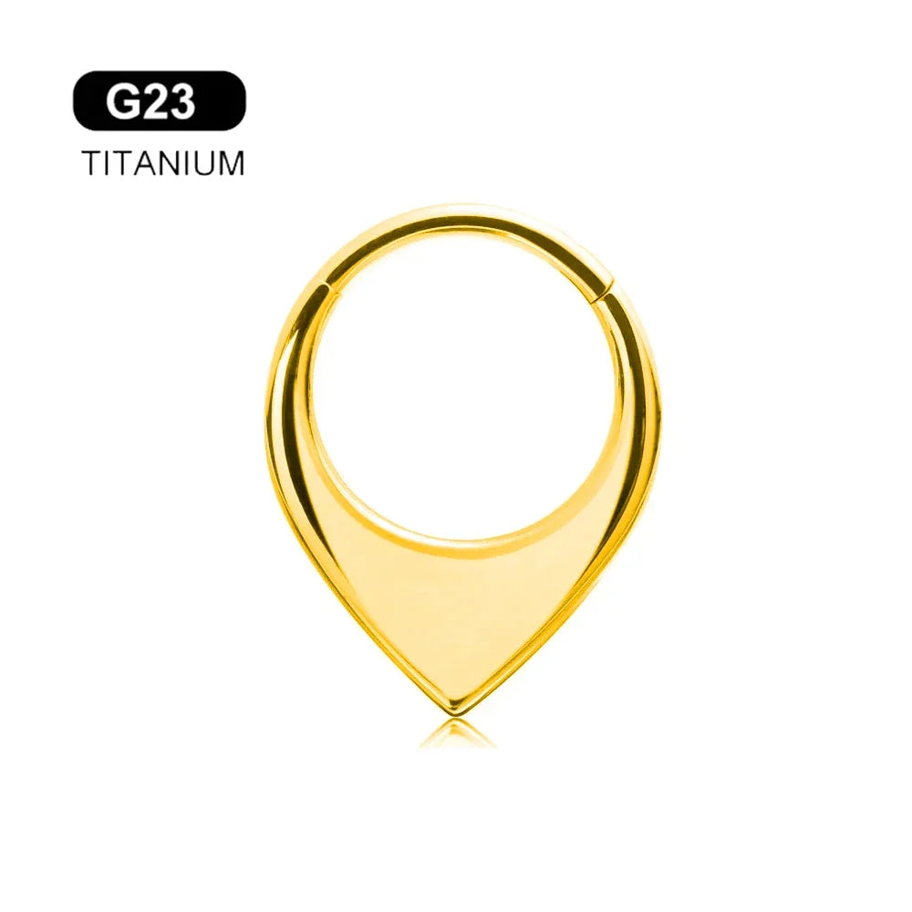 G23 Titanium Bee Septum Nose Ring Piercing Body Jewelry 16G Moon Segment Snake Clicker Helix  Ear Cartilage Heart Daith Hoop