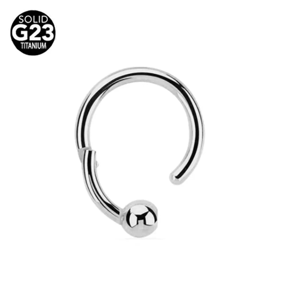 G23 Titanium Bee Septum Nose Ring Piercing Body Jewelry 16G Moon Segment Snake Clicker Helix  Ear Cartilage Heart Daith Hoop