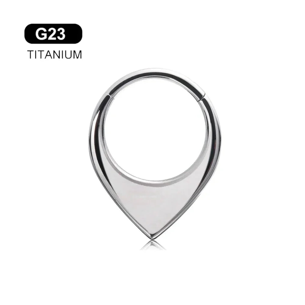 G23 Titanium Bee Septum Nose Ring Piercing Body Jewelry 16G Moon Segment Snake Clicker Helix  Ear Cartilage Heart Daith Hoop